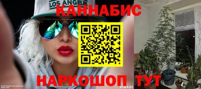 шишки Гусев