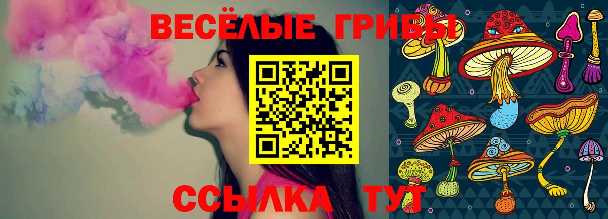 Галлюциногенные грибы GOLDEN TEACHER  Галлюциногенные грибы мухоморы  Вход с VPN  Калининград 