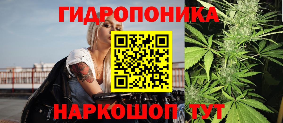 Калининград  Шишки марихуана индика  Вход с VPN  Марихуана семена 